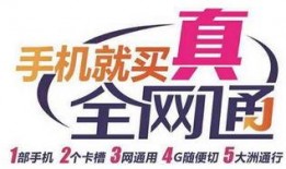 丽水大事小事爆料视频,揭秘丽水大小事，带你领略家乡风采